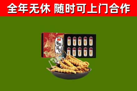 新抚区回收冬虫夏草价格